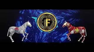 Metafastest with new experiences.