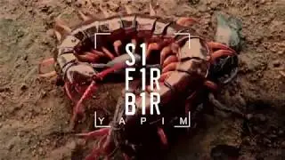 Sıfır Bir - 5. Sezon Jenerik