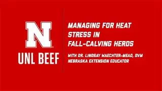 Dealing with heat stress in newborn calves as part of a fall-calving cowherd
