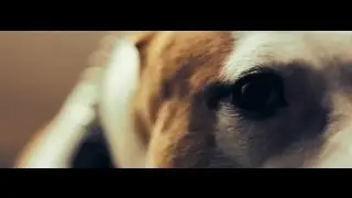 RAPCORE - ULTIMA NOTTE ( prod by DR.CREAM )
