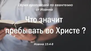 Иоанна 15:4-8 
