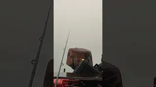 6 июня 2023 г.