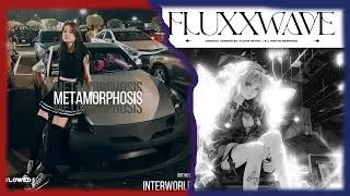 Metamorphosis x Fluxxwave (sped up)