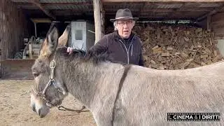 E' NATA L'ASINELLA ULMA! ESCLUSIVA de "IL CINEMA E I DIRITTI"