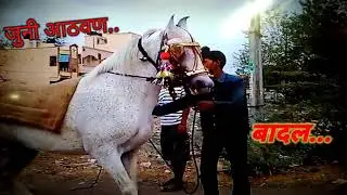 birudev Sathe