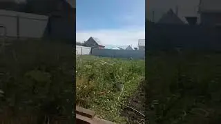 14 июля 2024 г.