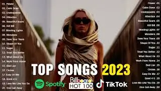 Top Music 2023  Miley Cyrus Rema Adele Ed Sheeran Shawn Mendes Sia Maroon 5 Rihanna 720