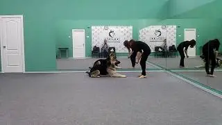 Тор, рингуемся без ринговки