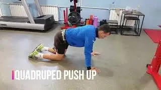 QUADRUPED PUSH UP - Top Gym