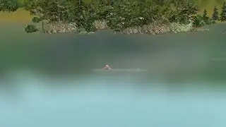 lgirl swims in the lake. девушка купается в озере. shorts