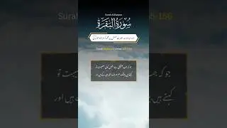 Surah Al Baqara Verse 155-156 Translation in Urdu #quran #naatspk #shorts