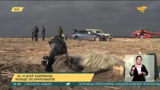 В ВКО за 20 дней было задержано больше 300 браконьеров