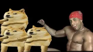 Ricardo Milos And Doge Dancing  10 Hours To Hard Bass