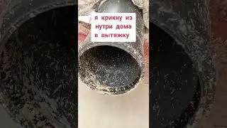 напугали птицу которая срёт на вытяжку)