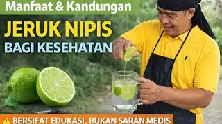 Kandungan Jeruk Nipis dan Potensi Manfaatnya bagi Tubuh! 