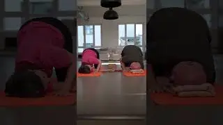 Die perfekte Übung gegen Verspannungen im Rücken!