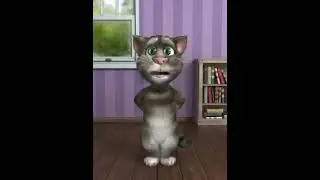 Күлкілі мысық