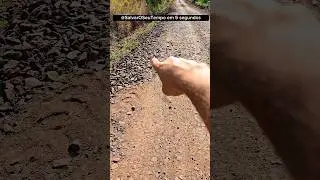 Você não vai acreditar no que eu achei hoje com gilsonfischer no ttk#geologia #pedra #ouro #fy