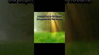 Задаю вопросы к лету день 8