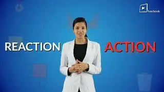 11  Action And Reaction