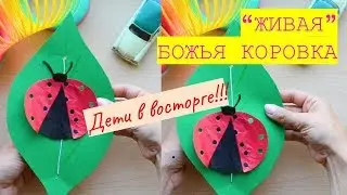 ДЕТИ В ВОСТОРГЕ!!! ЖИВАЯ ПОДЕЛКА ДЛЯ ДЕТЕЙ / БОЖЬЯ КОРОВКА / DIY