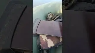 помповое ружье бекас на охоте.
