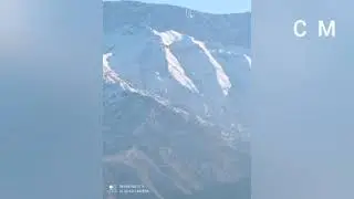 Ташкилот кисми 21 силка дар каментария