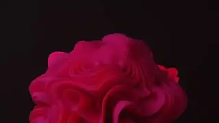 Puchu - Hulle Nje(Visualizer)