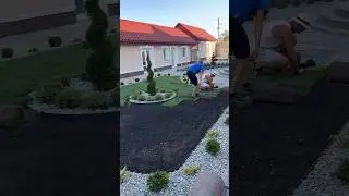 Укладка рулонного газона в Москве и области #благоустройство #москва #брусчатка #газон