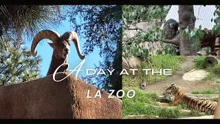 A day at The Los Angeles Zoo