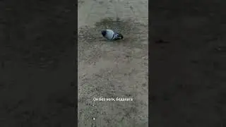 Черный аппаратчик ( Часть 1 )
