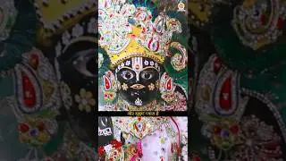 Krishna Janmashtami Bhajan #newbhajankrishna #yashodamaiya #janmashtami #krishnachhathi #shorts