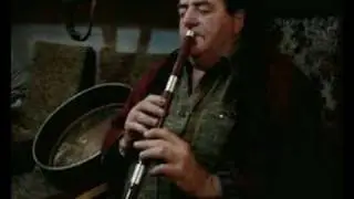 Mick Flynn performs