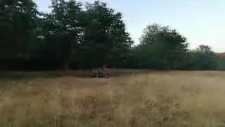 плакалка
