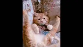 жизнь в кайф