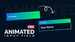 Creating Animated Input Field Using HTML CSS | Web Development Tutorial