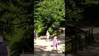 Курортний парк в Трускавці 