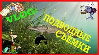 VLOG: ПОДВОДНЫЕ СЪЁМКИ!