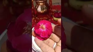 Book Mangalnath Mangal Bhat Puja At Ujjain City | YatraDham.Org #ujjain #puja