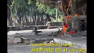 Anwali Narmada Ghat आंवली नर्मदा घाट 11 Jan 2025