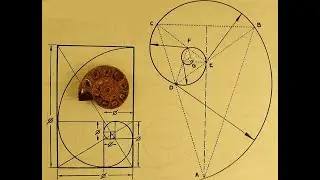 Числа фибоначчи что это такое
