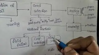 🍄step by step methods in crops production 🍄