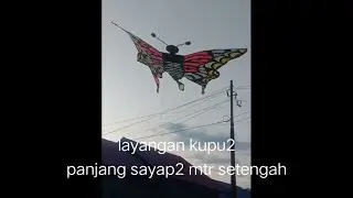 layangan kupu.kupu #shorts