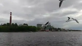 Прогулка по реке Кама.