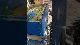 Прилетел рой пчел на пасеку в старый улей оставляйте пустые улья на пасеке