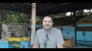Семья инкубатор,  сколько пчел нужно в воспиталке.