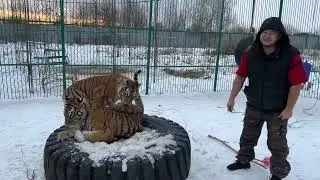 Инфинити и Тесла ! 3 Года !