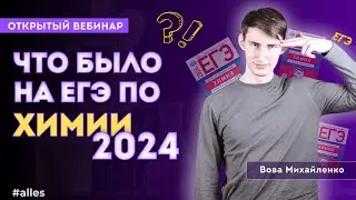 Что было на ЕГЭ по химии 2024? | Вебинар с Вовой Михайленко | Alles