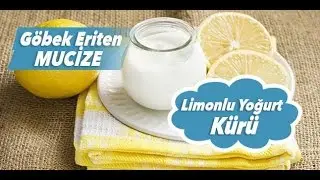 Göbek Eriten Zayıflatan  Limonlu Yoğurt Kürü