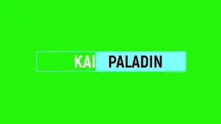 Спиннинг KAIDA. KAIDA Paladin.